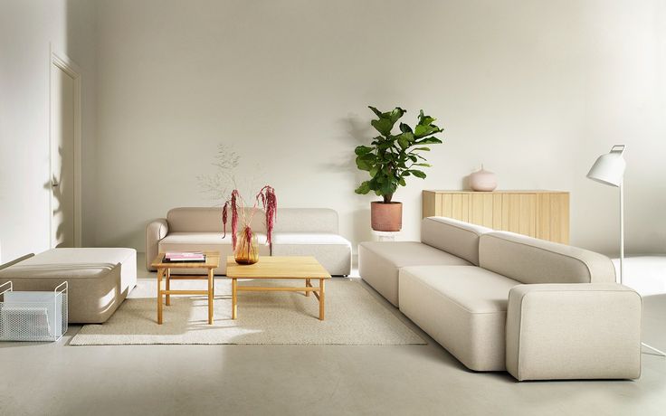 a living room filled with furniture and a potted plant