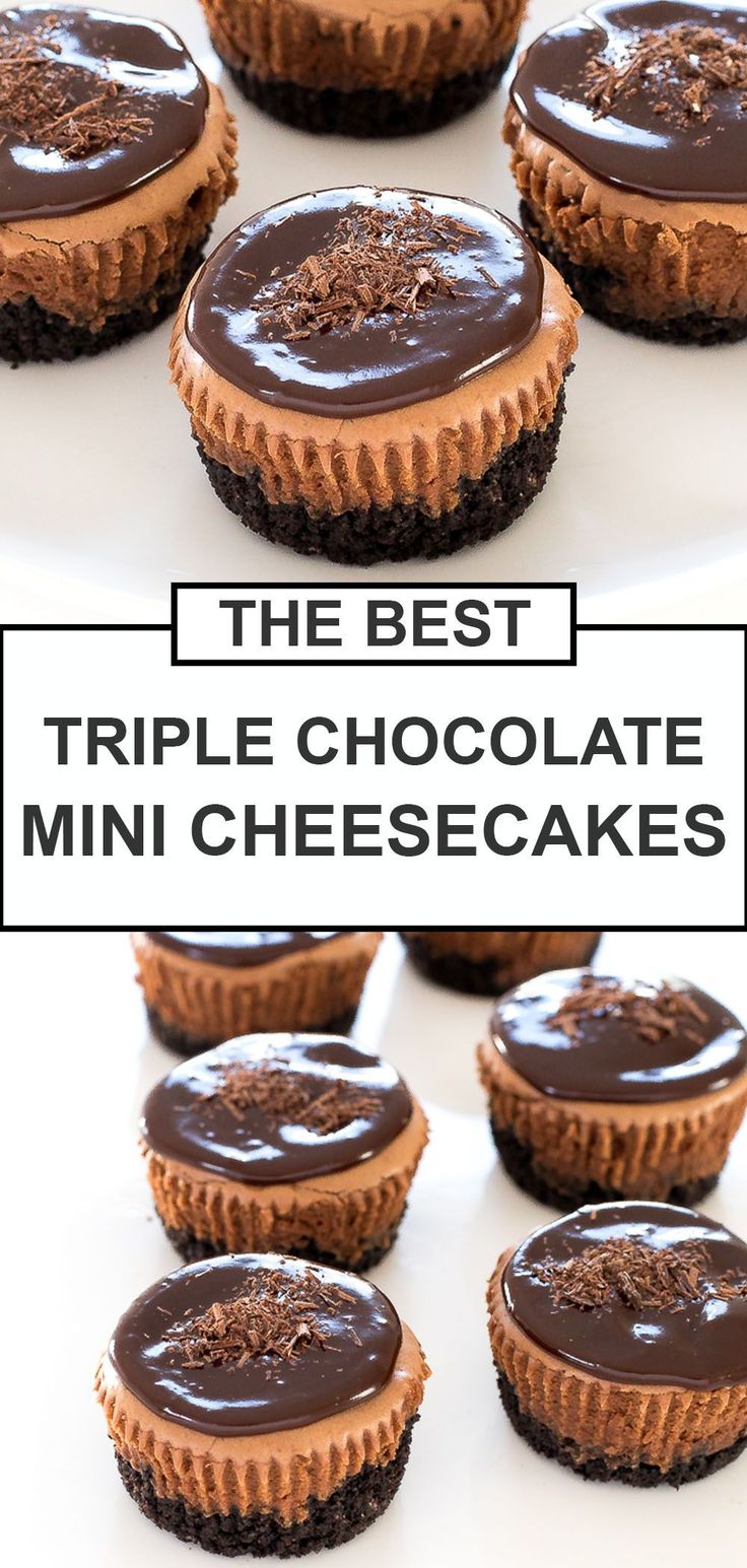 mini cheesecakes with chocolate frosting on top and the title in the middle reads triple chocolate mini cheesecakes