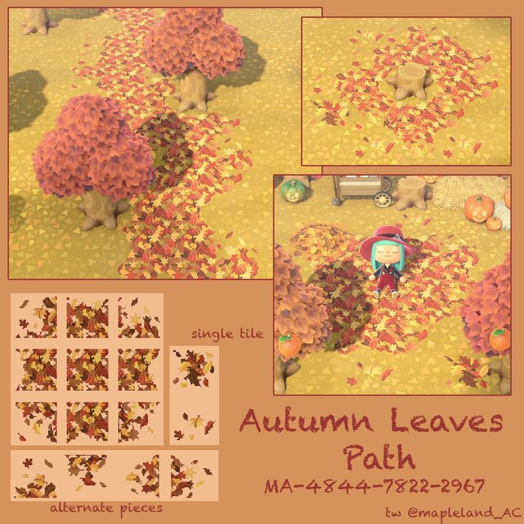 an autumn leaves path is shown in four different stages, including the fall colors and trees