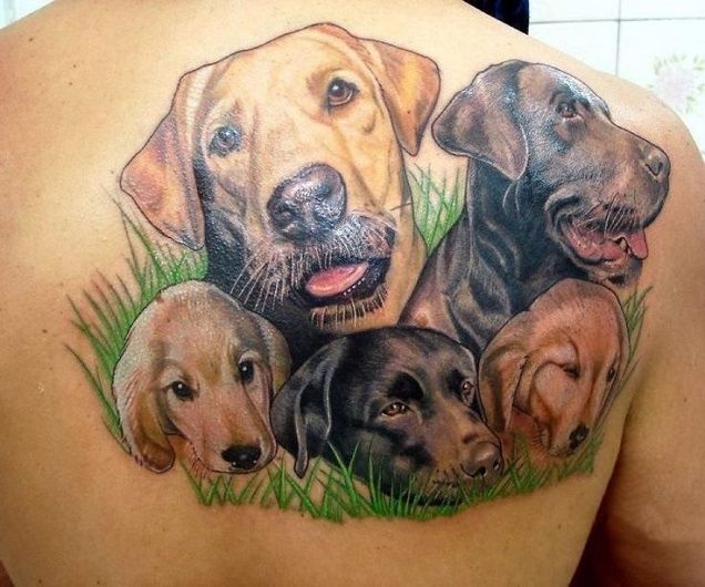 a man with a tattoo on his back has five dogs in the grass