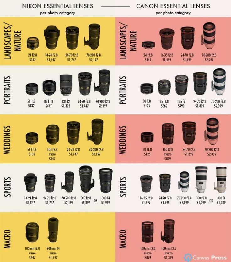 the camera lens sizes chart for canon and nikon cameras, with different types of lenses