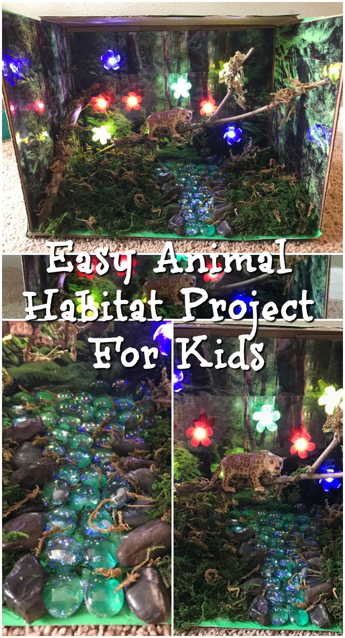 the easy animal habitat project for kids with rocks and plants in it, including lights