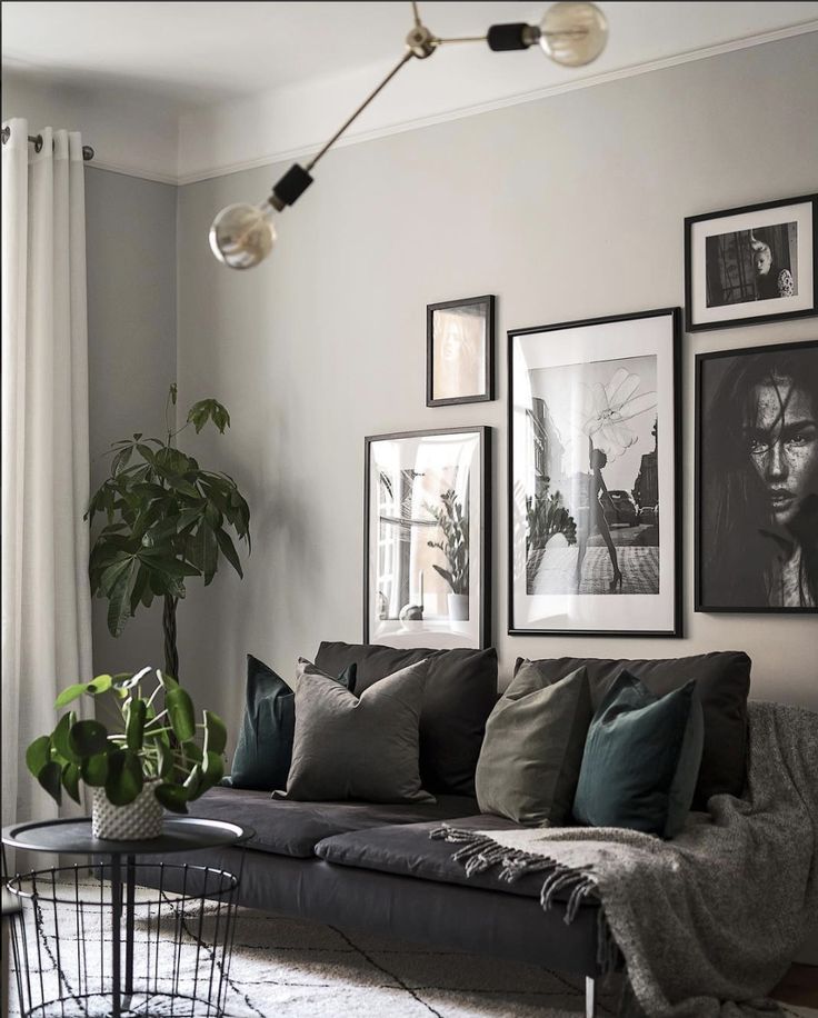 a living room filled with lots of furniture and pictures on the wall next to a potted plant