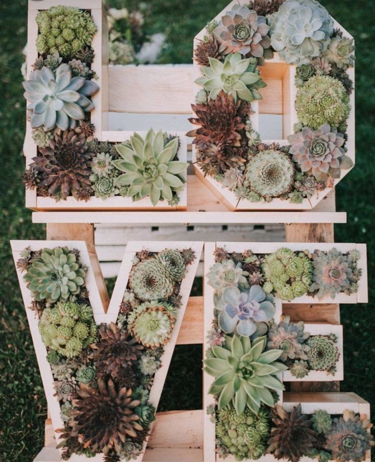 the letters are made out of wood and have succulents on them,