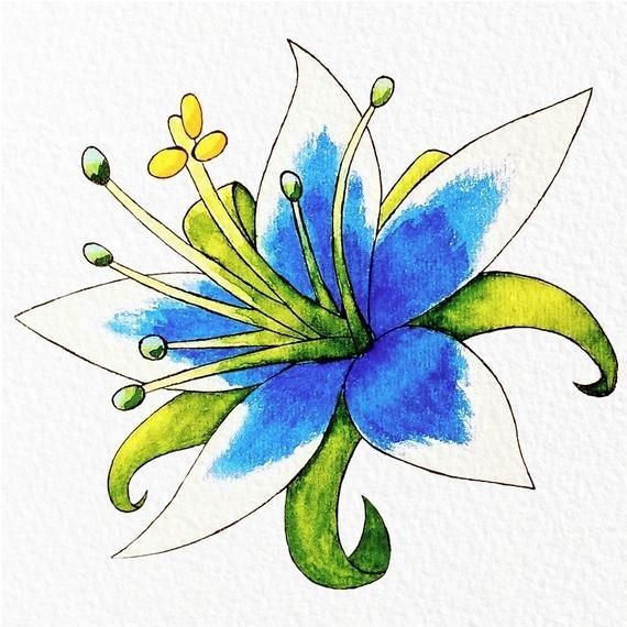 a drawing of a blue flower with green leaves and yellow stamens on it