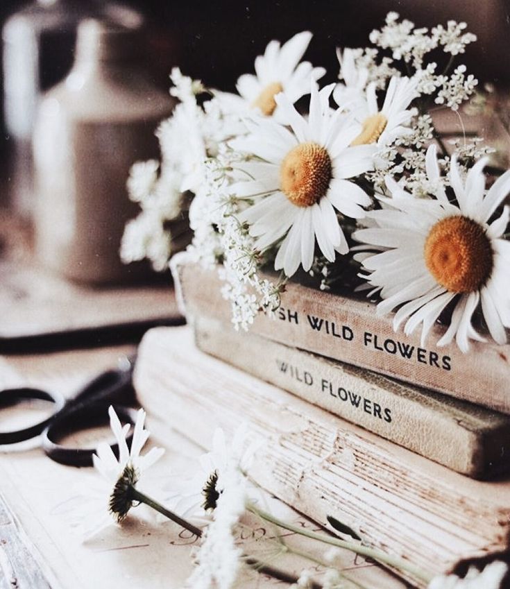 some daisies are sitting on top of books