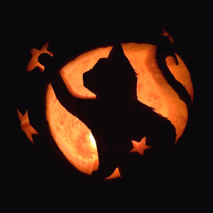 a carved pumpkin with a cat on it