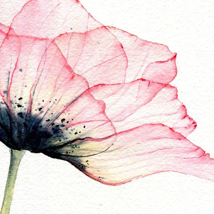 a watercolor painting of a pink flower