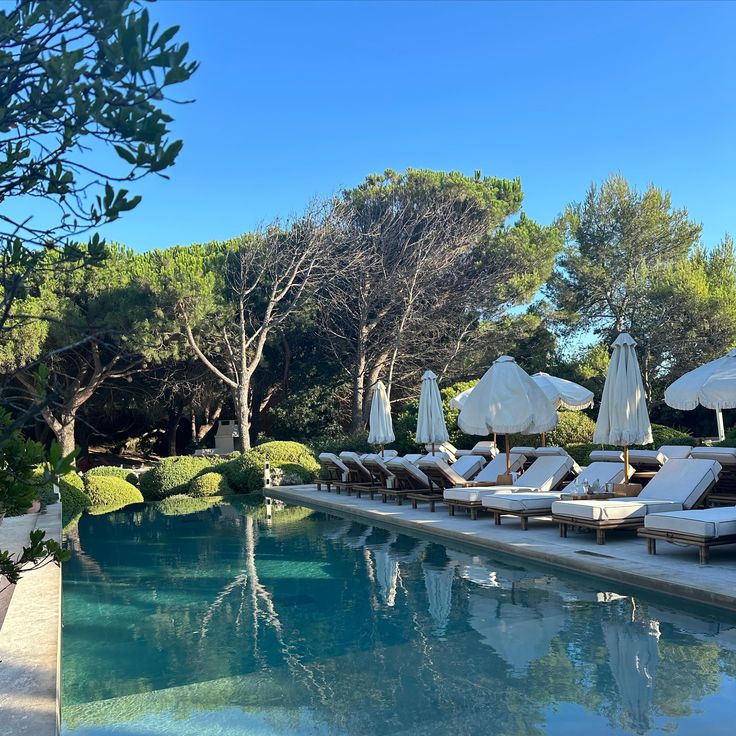 lounge chairs and umbrellas line the edge of a swimming pool in front of trees