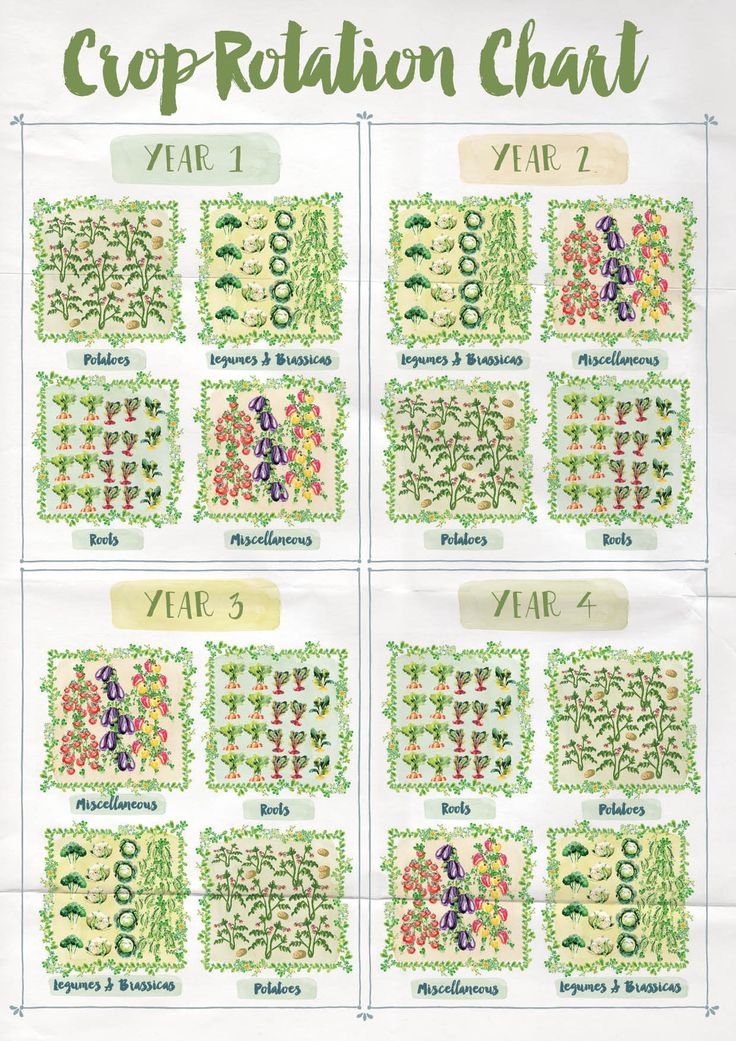 a cross stitch chart with different plants and numbers