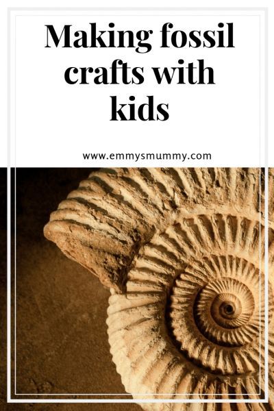 How To Make Fossils For Kids, Making Fossils With Kids, Making Fossils, Diy Fossils, Texture Art Projects, Fossils Activities, Crafts With Kids, Fossil Art, Shells Diy