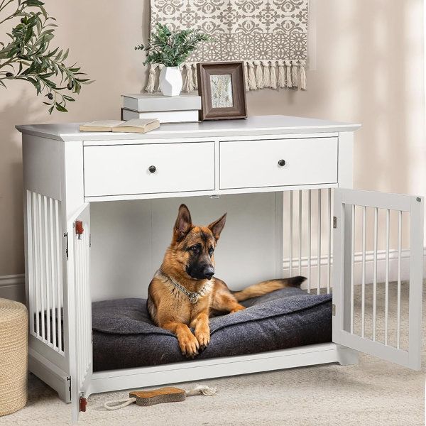 a dog laying on top of a bed in a room next to a table with a potted plant