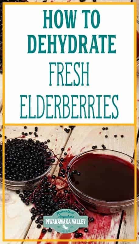 how to dehydraate fresh elderberries with the title overlay reads how to dehydraate fresh elderberries