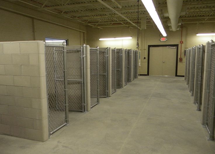 an empty room with several stalls and doors in the center, all lined up to be used for dog kennels