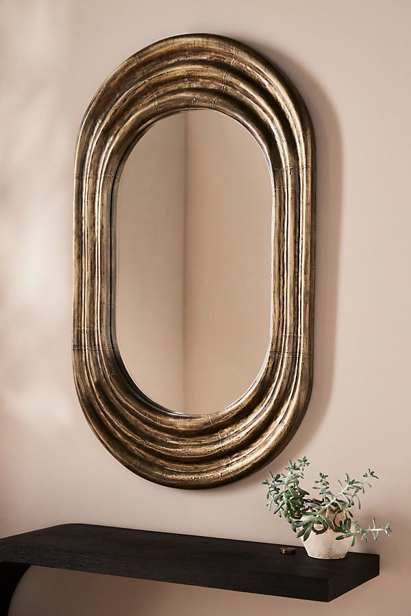 a mirror hanging on the wall next to a shelf with a potted plant in it