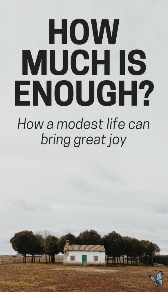 How Much Is Enough? And How A Modest Life Can Bring Great Joy | #Money, #Contentment, and Peace from a #Christian Perspective Modest Lifestyle, Christian Quotes About Life, Household Expenses, Living Simply, American Lifestyle, Debt Free Living, Financial Fitness, Minimalism Lifestyle, Financial Peace