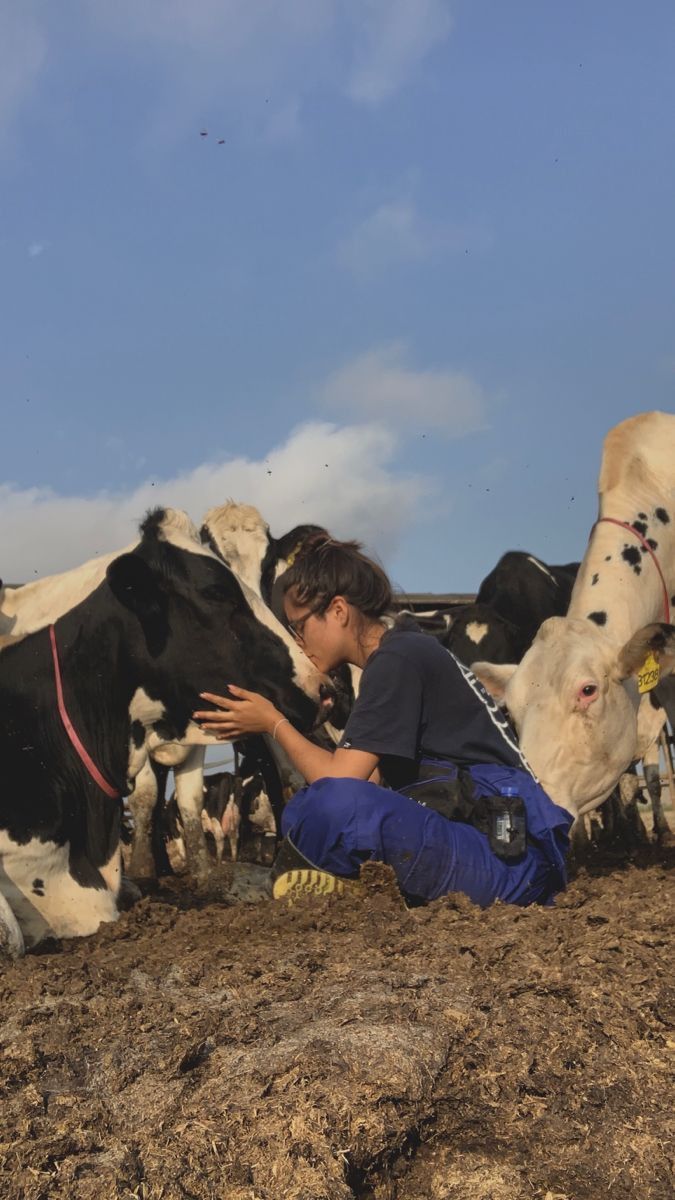 a person kneeling down in front of cows on a dirt field with sky in the background