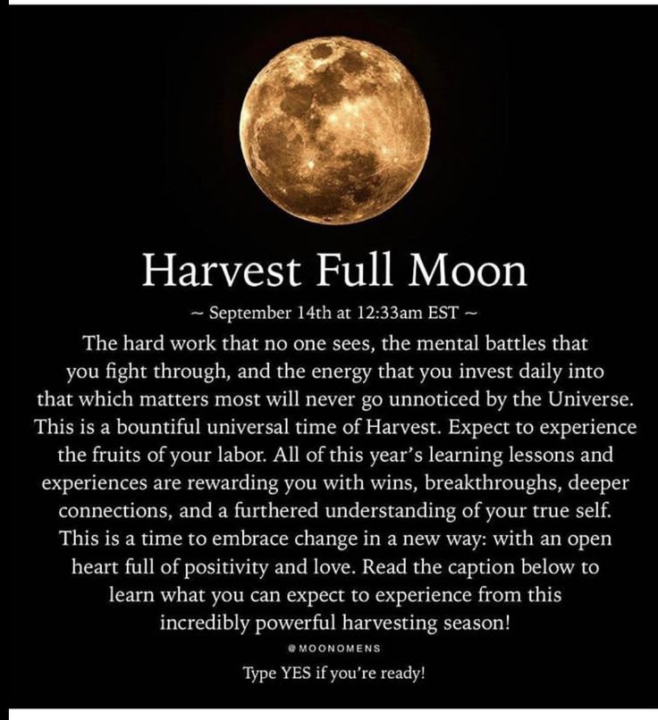 Harvest Full Moon, Moon Omens, Full Moon In Pisces, Full Moon In Aries, Moon Meaning, Moon Spells, Moon Quotes, W.i.t.c.h Aesthetic, Love Is Comic