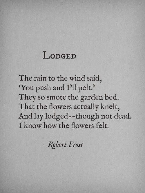 an old poem written in black and white with the caption'i looked the rain to the wind said, you push and i'll'll pick