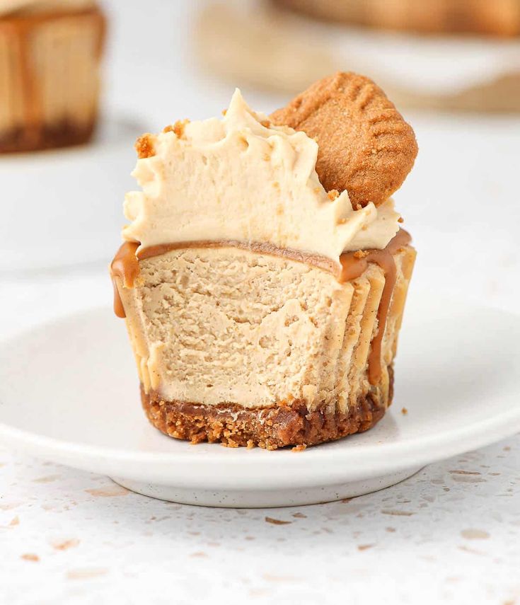 a white plate topped with a cheesecake covered in frosting and peanut graham crackers