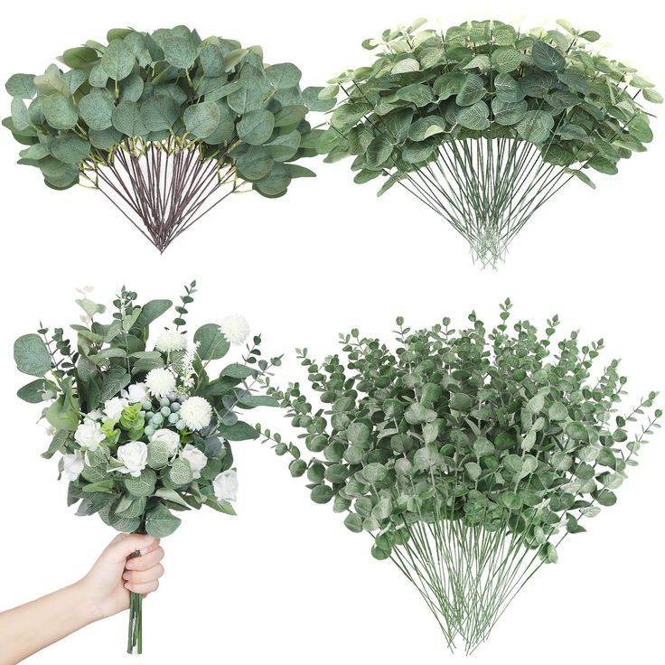 four different types of flowers and greenery arranged in the shape of wreaths on white background