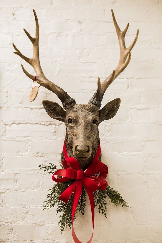 a deer head mounted on the wall with a red bow around it's neck