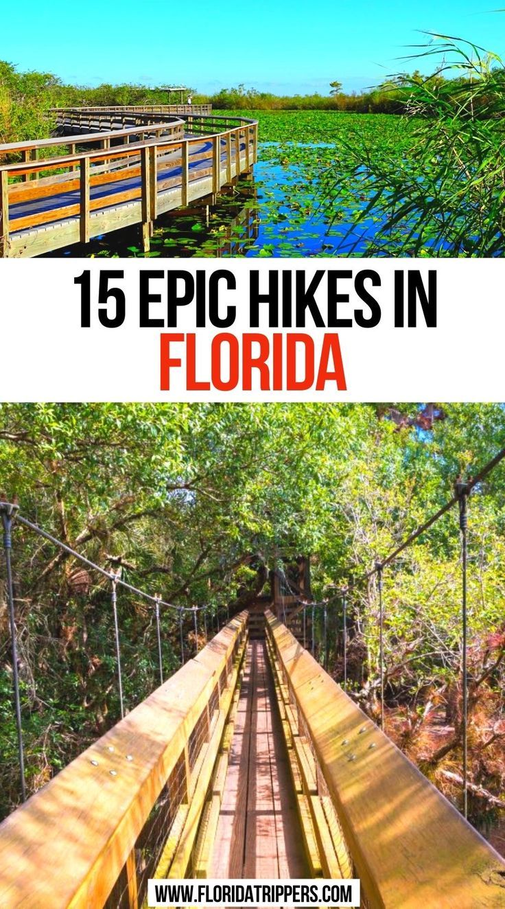 15 Epic Hikes in Florida Florida Hiking, Hiking In Florida, Florida National Parks, Florida Vacation Spots, Florida Travel Destinations, Florida Getaway, Florida Attractions, Florida Travel Guide, Florida Adventures