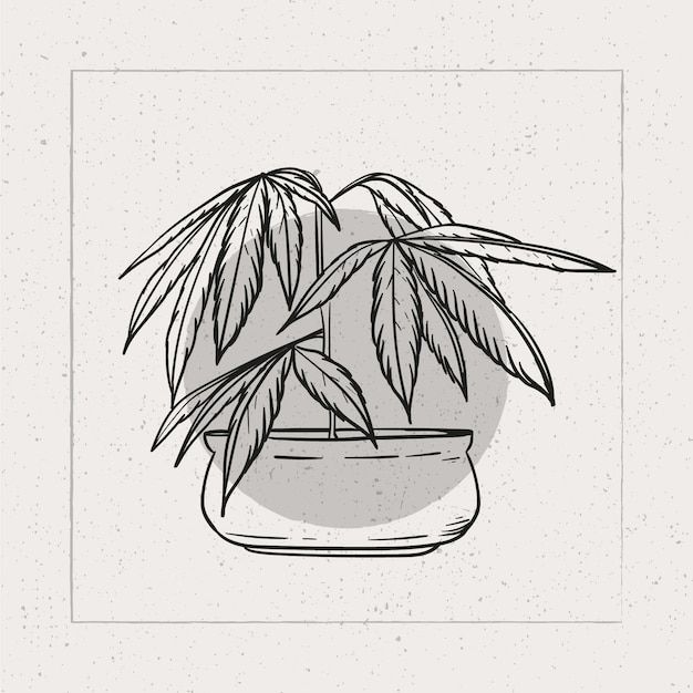 a drawing of a potted plant with leaves