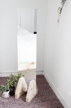 a room with a mirror, plant and potted plants on the floor in front of it