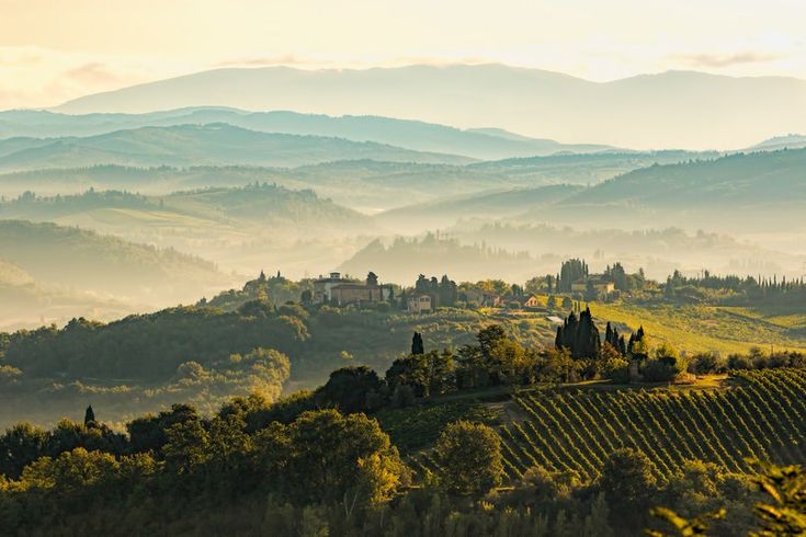 the rolling hills are dotted with trees and houses