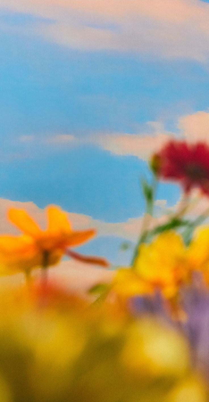 colorful flowers are in the foreground with a blue sky and clouds in the background