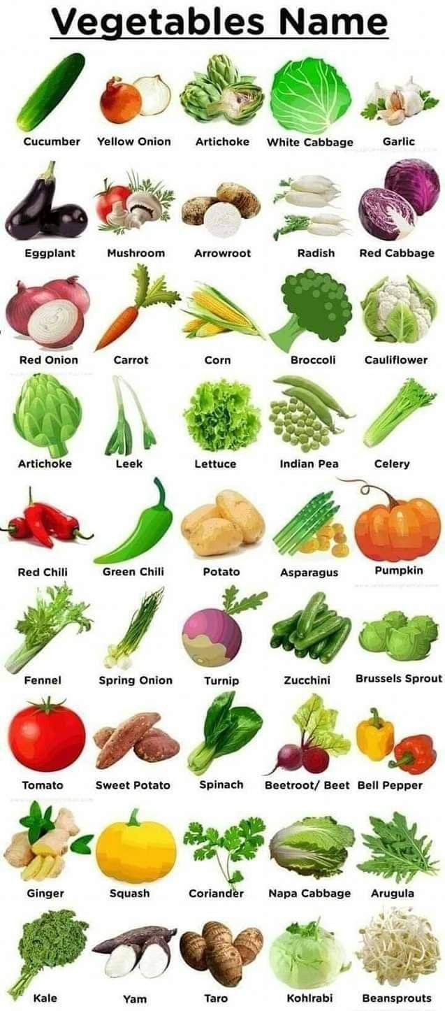 an image of vegetables names in english