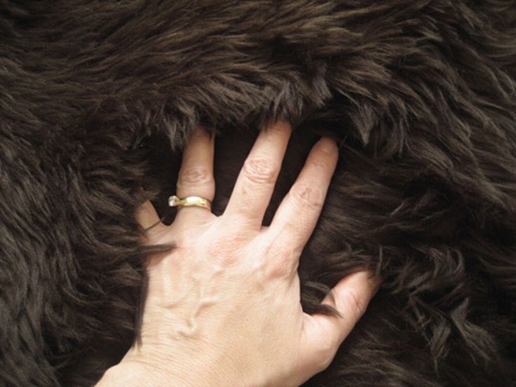 a woman's hand on top of a furry animal