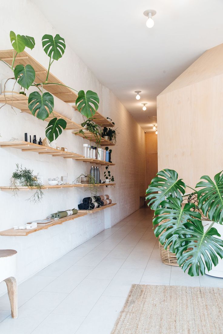 a living room with shelves filled with plants and potted plants next to a white wall