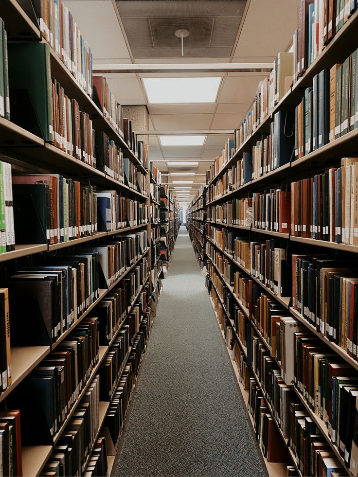 a long row of books on shelves in a room with carpeted floor and ceiling