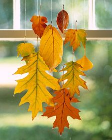 some leaves are hanging from a window sill