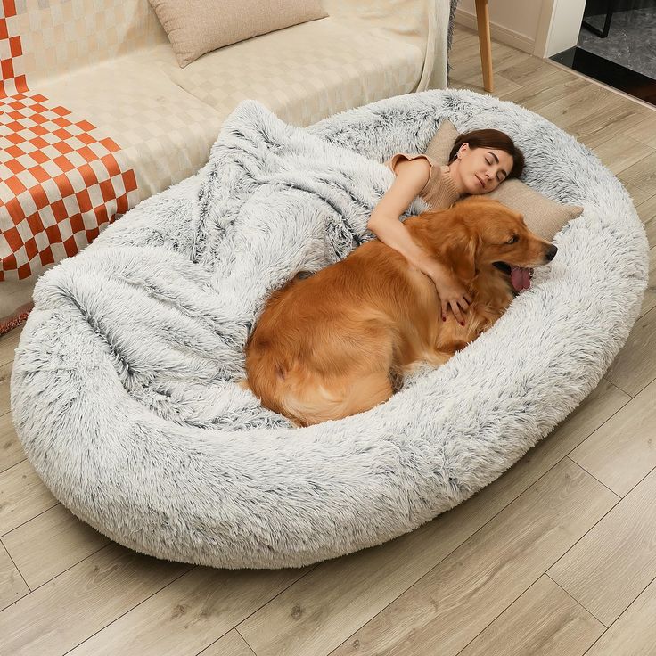 a woman laying in a dog bed on the floor next to a large brown dog