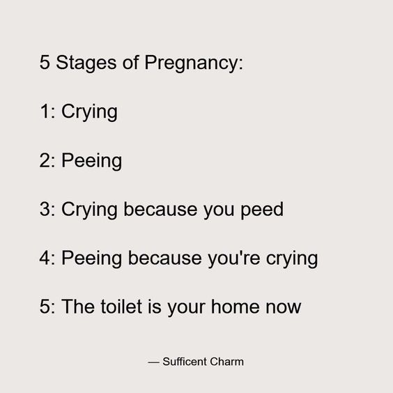 the five stages of pregancy 1 crying 2 peeling 3 crying because you're crying 4 peeing 5 the toilet is your home now