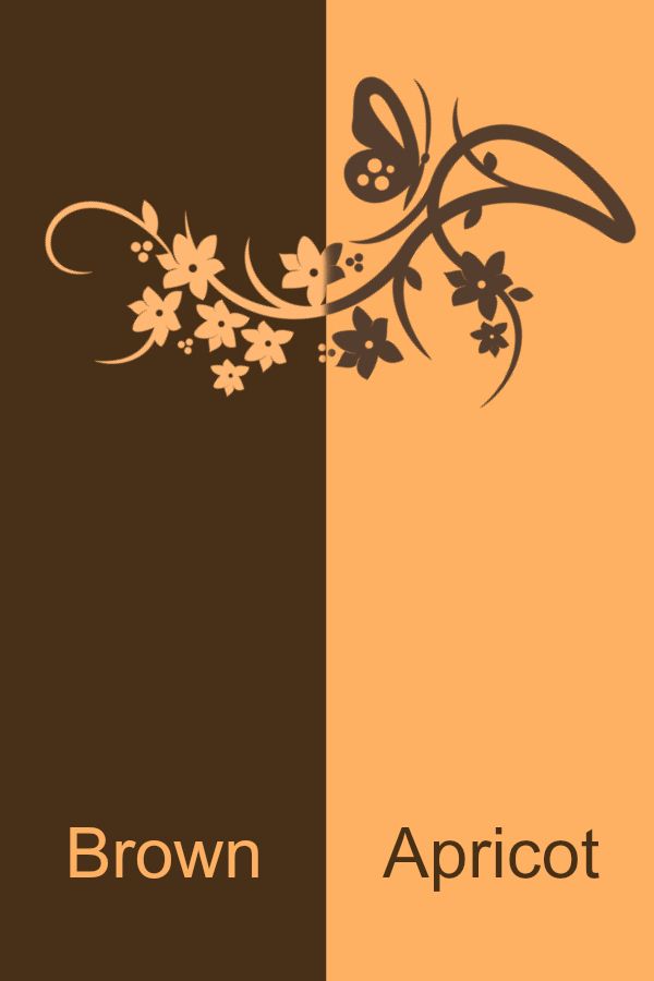 brown and apricot are two different colors, each with an image of a butterfly on it