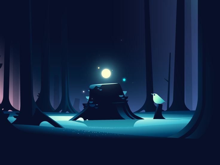 an image of a night in the woods