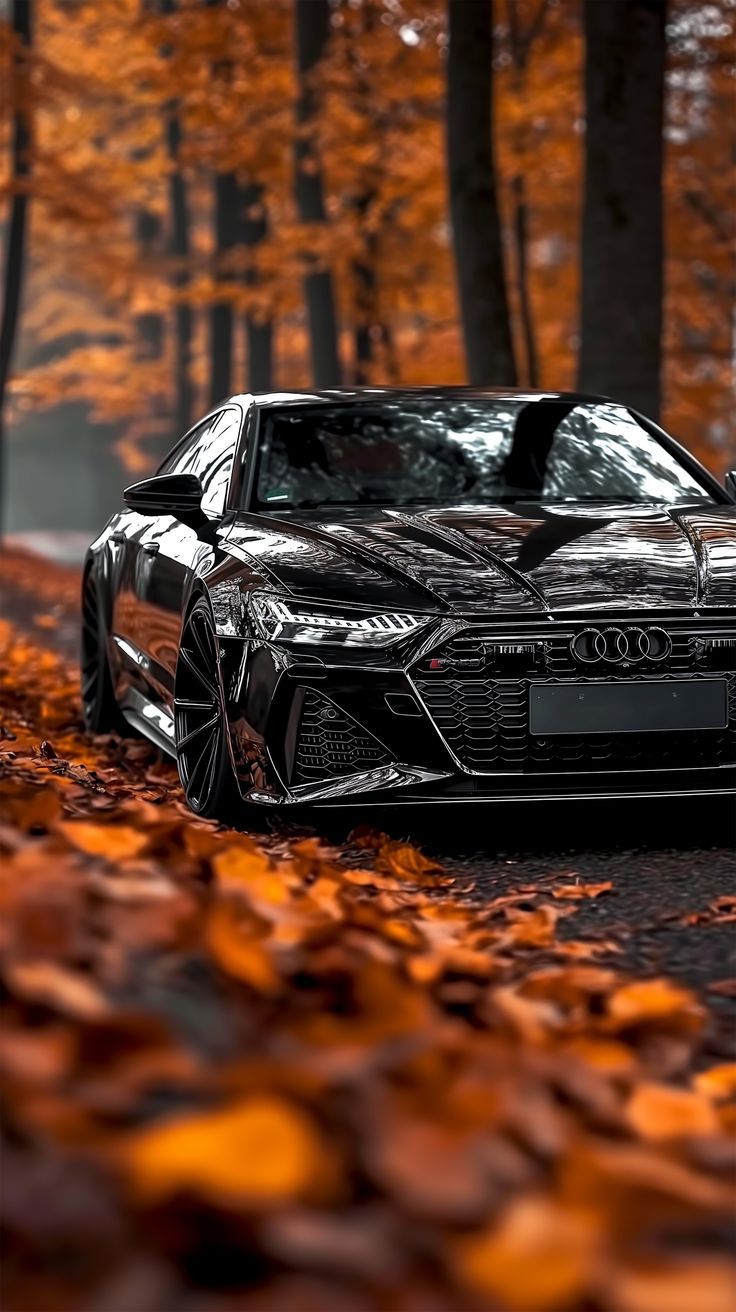 #audi #audicar #wallpaper #audicarstatus #carwallpaper #audicarlook #audicarwhatsappstatus #supercarwallpaper #hdwallpaper #wallpapers #audia6 #desktopwallpaper #audi(automobilecompany) #audic8 #audic7 #newaudia6 #audis6 #audia3 #audia4 #audia5 #audia7 #audia8 #audir8 #audipov #audi100 #audirs6 #auditest #audia650 #audia6c8 #audia6c7 #audia6c6 #audi2019 #audis6c6 #audi50tdi #audia6tdi Audi Car Wallpaper, Audi Rs7 Interior, Car Names, Tata Cars, Lux Life, Audi Car, Good Looking Cars, F1 Wallpaper Hd, Top Luxury Cars