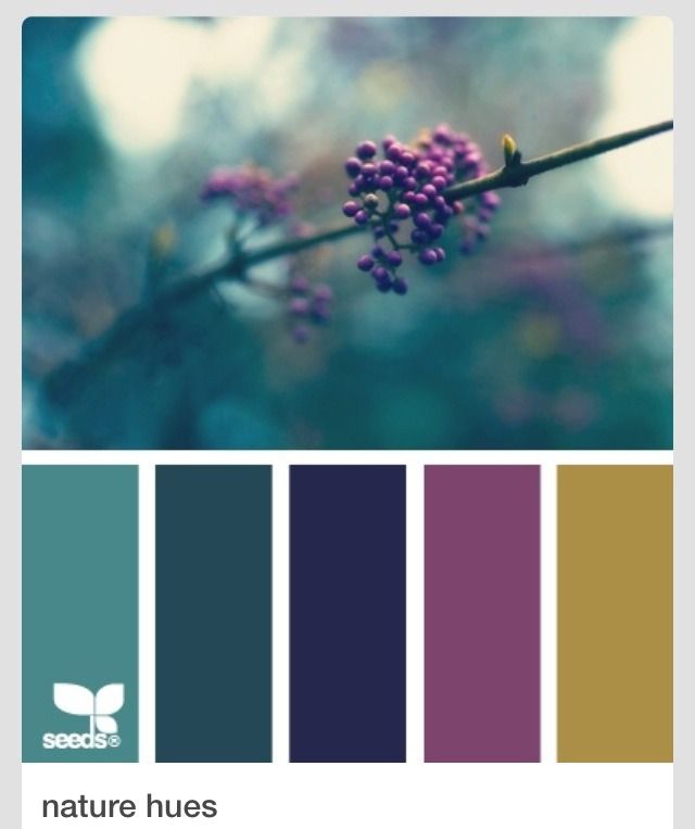 an instagram page with purple flowers and green leaves