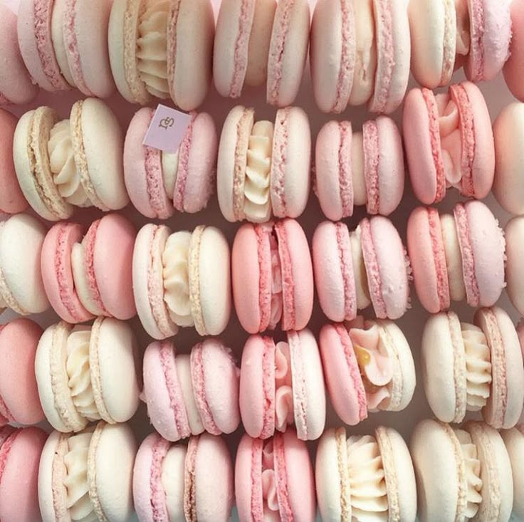 macaroons are arranged in rows on display