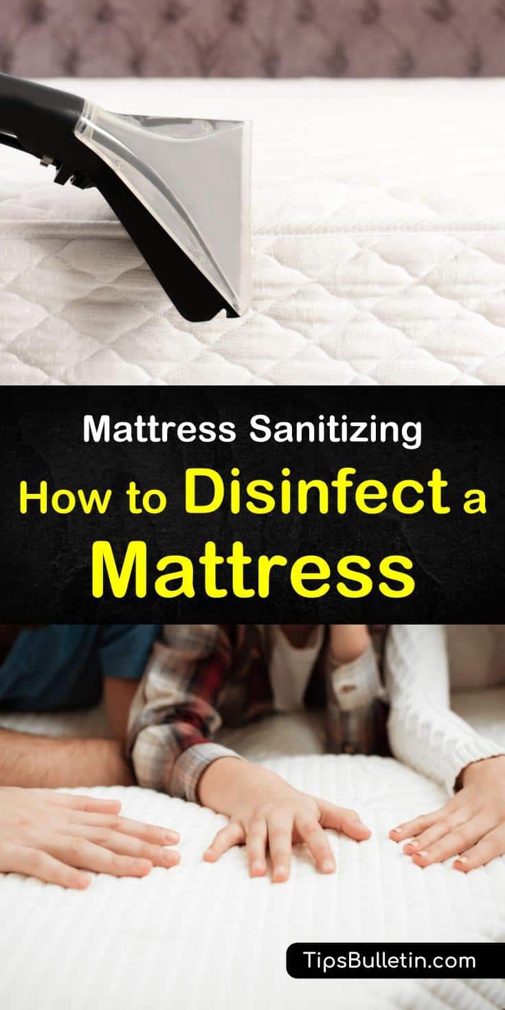 mattress sanitizing how to disinfect a mattress