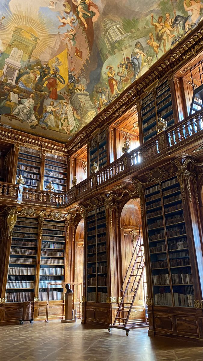 an ornate library filled with lots of books under a painting on the ceiling next to stairs