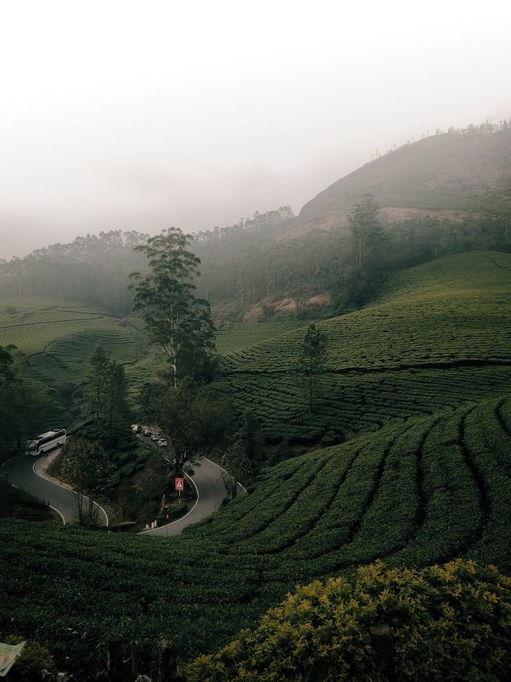 a winding road in the middle of a lush green hillside