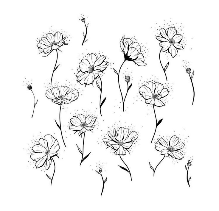 the flowers are drawn in black and white, with dots on their stems to make them look