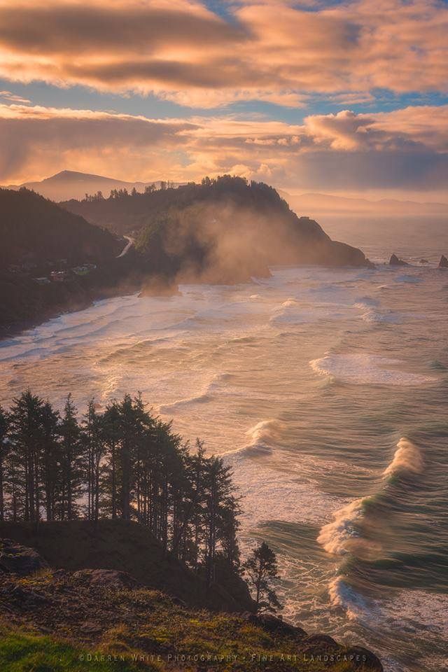 the ocean with waves crashing on top of it and trees in the foreground at sunset