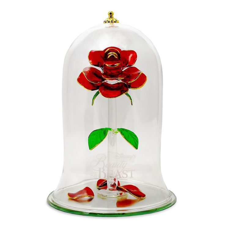 a red rose under a glass dome on a white background