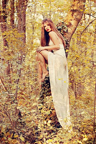 a woman sitting on top of a tree in the woods